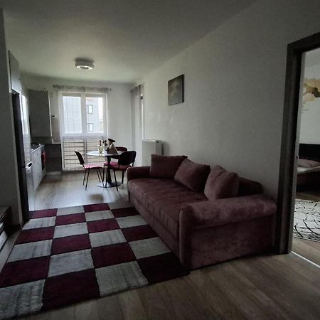 Târgu-Mureş Ludi House Apartment מראה חיצוני תמונה
