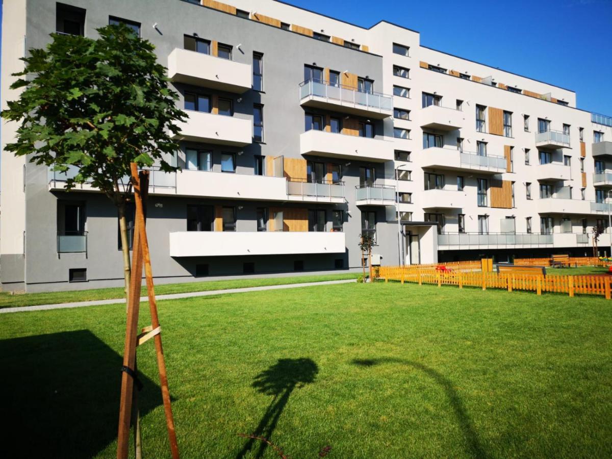 Târgu-Mureş Ludi House Apartment מראה חיצוני תמונה