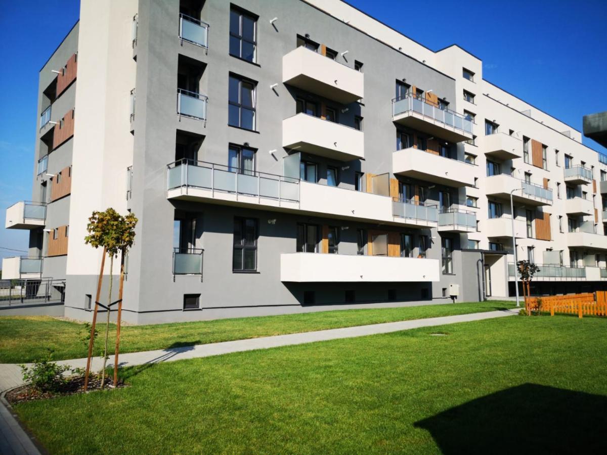Târgu-Mureş Ludi House Apartment מראה חיצוני תמונה